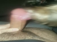Dog and dick